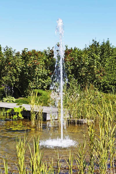 Cột nước được tạo thành từ 21 tia nước đơn của đầu phun Cluster Eco 15-38