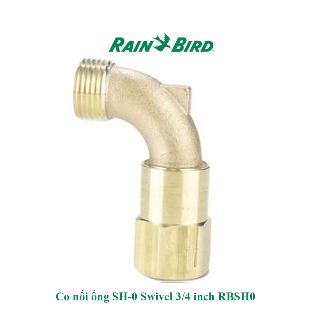 Co nối ống Rainbird SH 0 Swivel 3 4 inch RBSH0 2