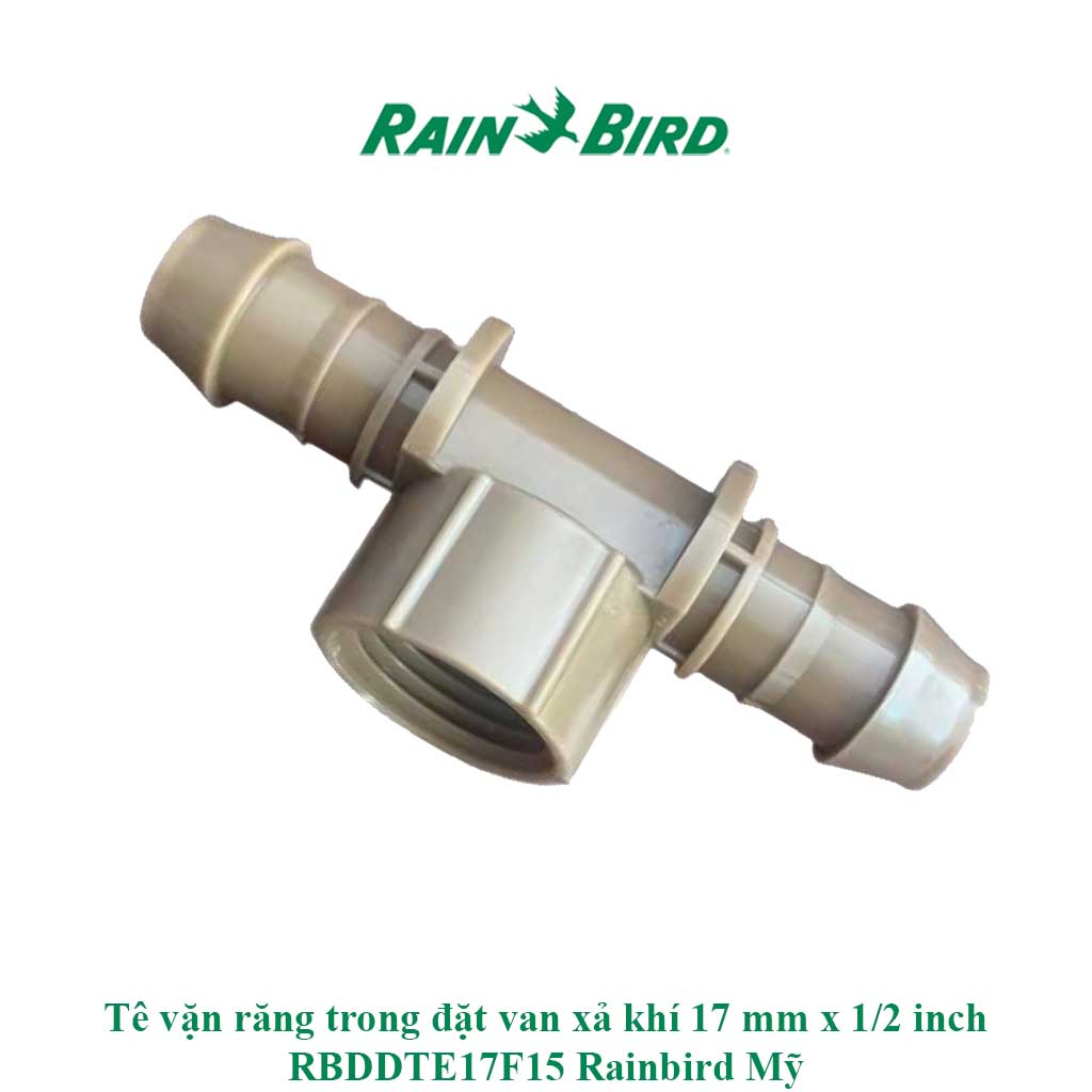 Tê vặn răng trong đặt van xả khí 17 mm x 1 2 inch RBDDTE17F15 Rain bird