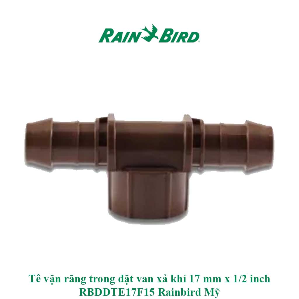 Tê vặn răng trong đặt van xả khí 17 mm x 1/2 inch RBDDTE17F15 Rainbird Mỹ