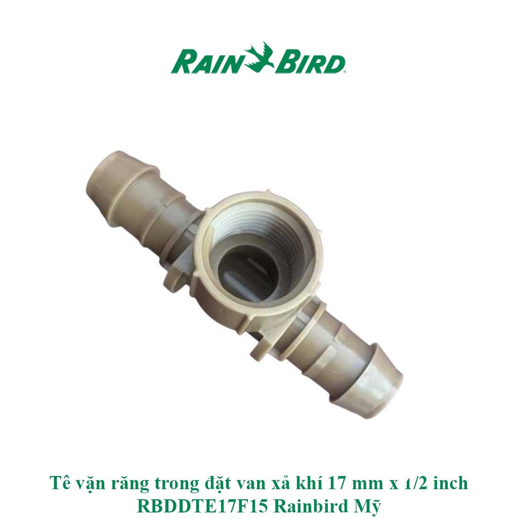 Tê vặn ren trong đặt van xả khí 17 mm x 1 2 inch RBDDTE17F15 Rain bird Mỹ