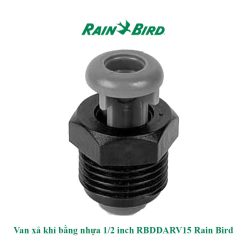 Van xả khí bằng nhựa 1 2 inch RBDDARV15 Rain Bird