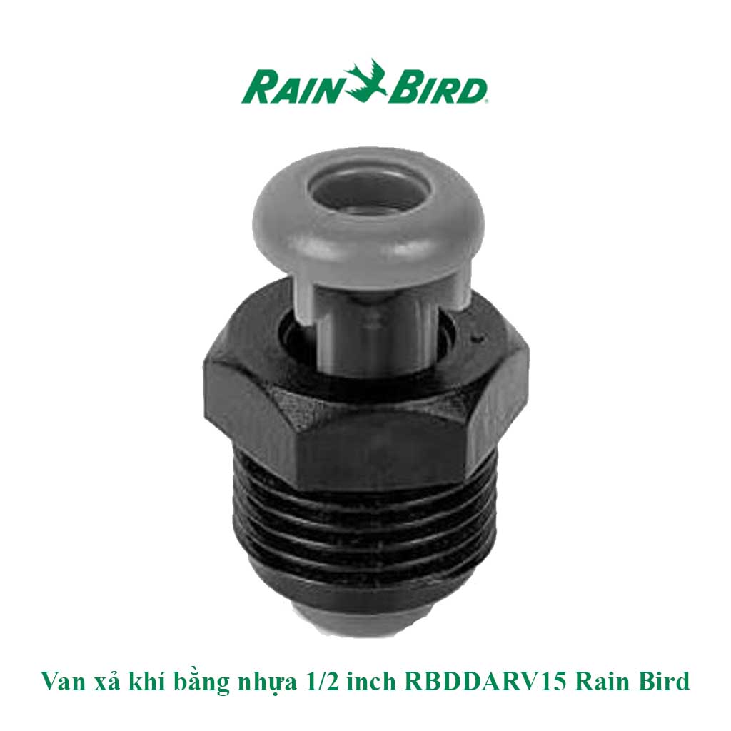Van xả khí bằng nhựa 1 2 inch RBDDARV15 Rain Bird