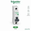 MCB Schneider 1P Easy9 45kA - Cầu dao tự động